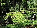 DSCF0023.JPG