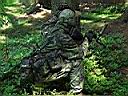 DSCF0030.JPG